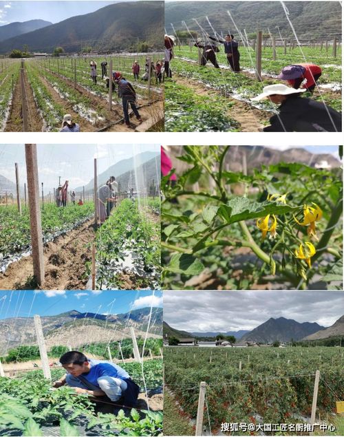 麗江百姓餐飲服務管理有限責任公司 食品安全誠信經(jīng)營示范單位